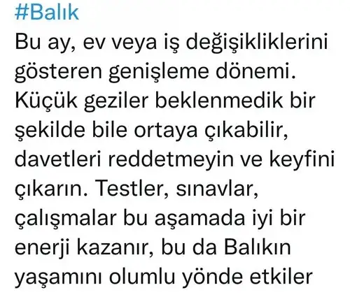 venüs koç2 (12).webp