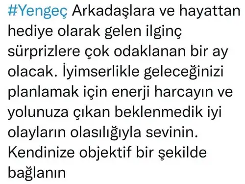venüs koç2 (4).webp