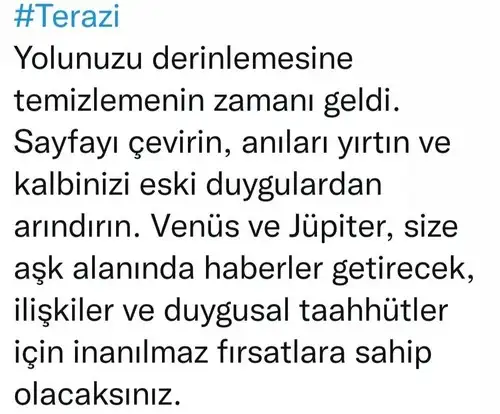 venüs koç2 (7).webp
