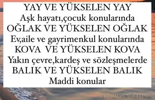 venüs koç5 (3).webp