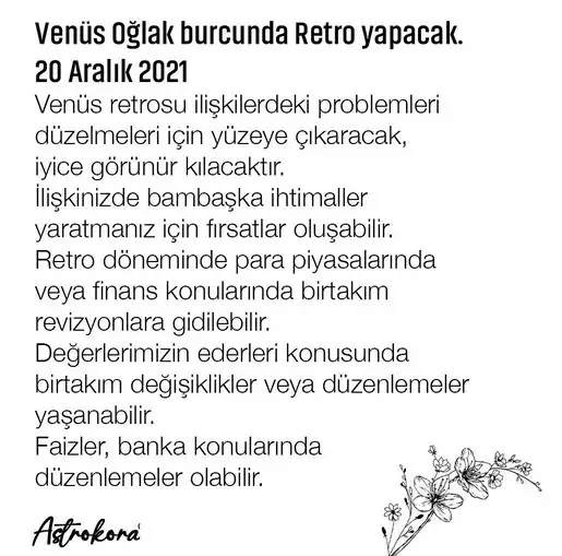 venüs retro 9.webp