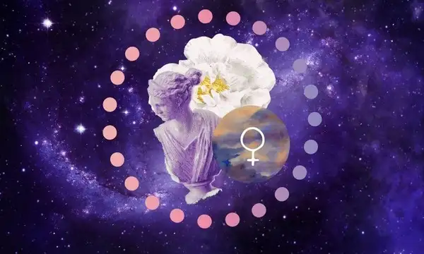 Venus-retrosu1.webp