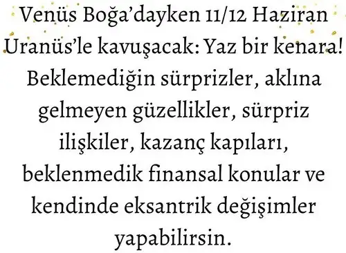 venüsboğa3 (2).webp