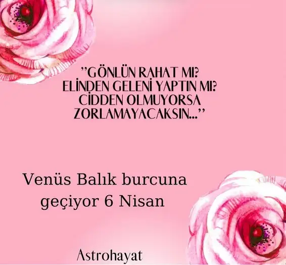 venüz balık3 (1).webp