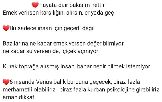 venüz balık3 (2).webp
