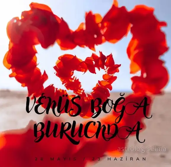 venüz boğa16 (1).webp