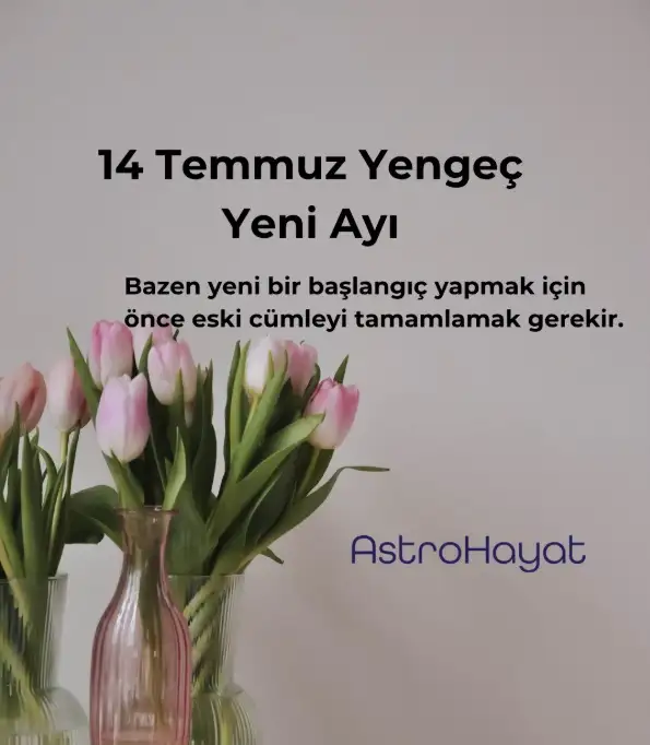 venvrg26fb.webp