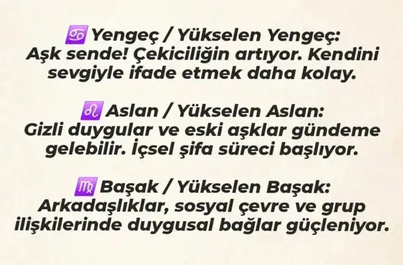 venyen3 (2).webp