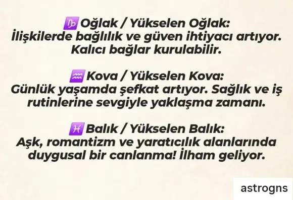 venyen3 (4).webp