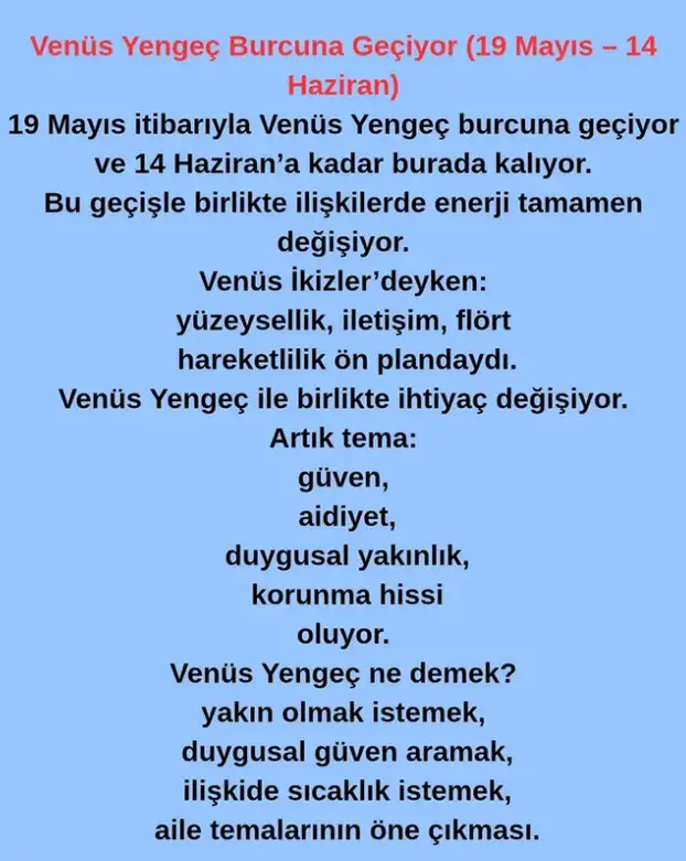 venyng (1).webp