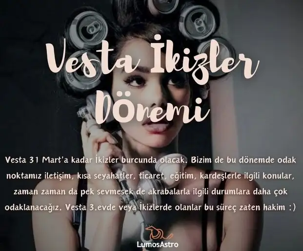vest ik.webp