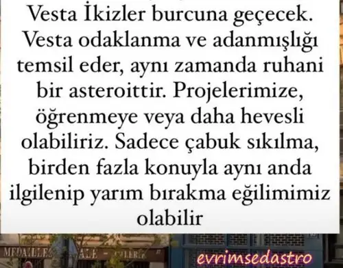 vest.webp