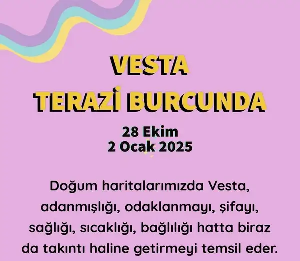 vesta ter1 (1).webp