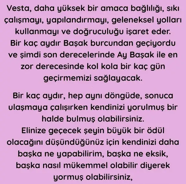 vesta ter1 (2).webp
