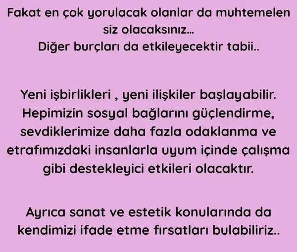 vesta ter1 (4).webp