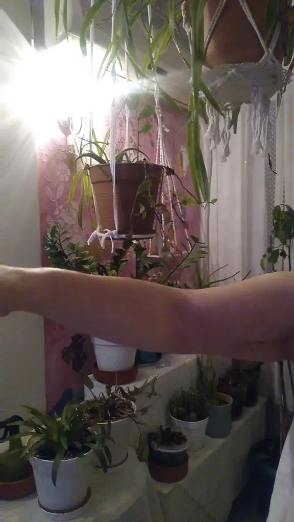 VID_20210419_212622_exported_0_1618857879753.webp