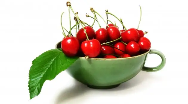 visnenin-sasirtan-faydalari.webp