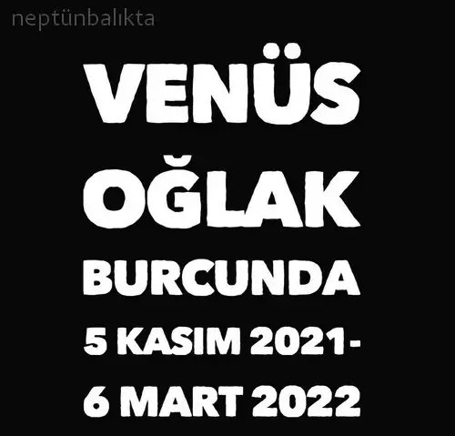 vwn oğla (1).webp