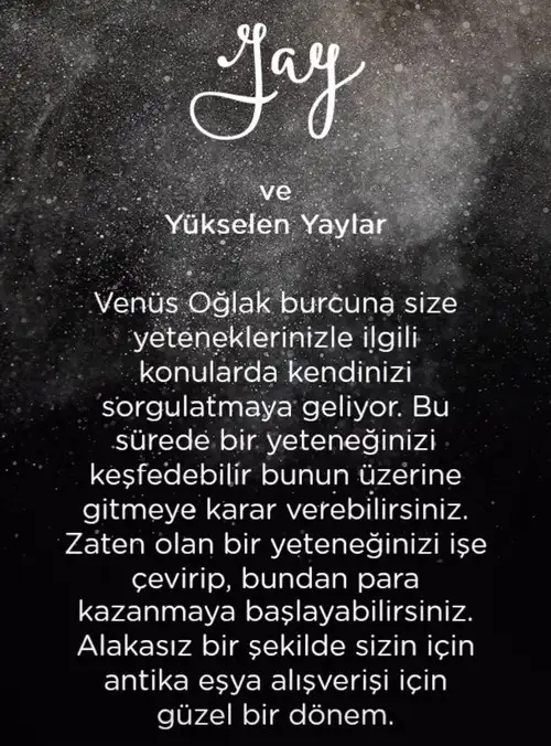 vwn oğla (11).webp