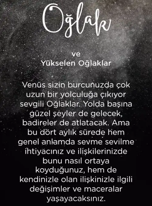 vwn oğla (12).webp
