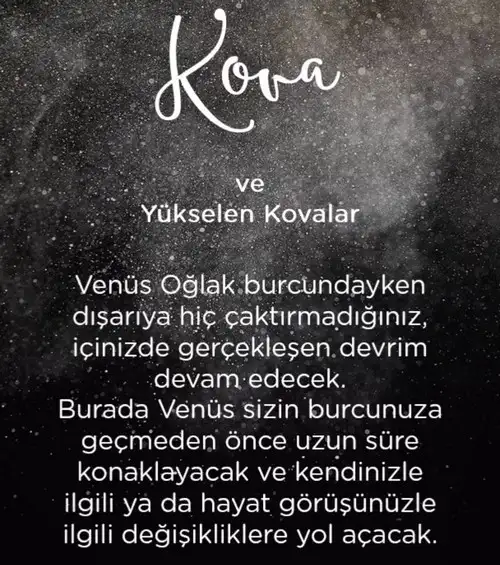 vwn oğla (13).webp