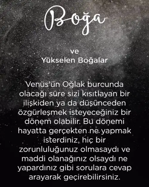vwn oğla (3).webp