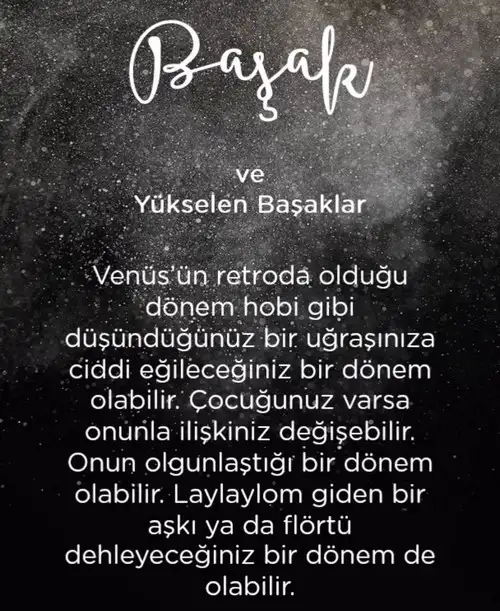 vwn oğla (7).webp