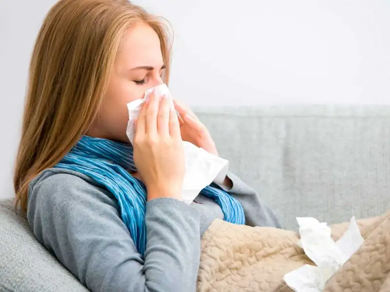 wc_hayfever.webp