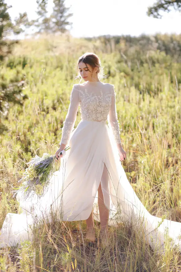 wedd (3).webp