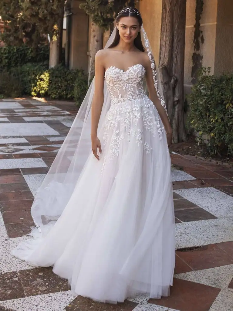 wedd0 (2).webp