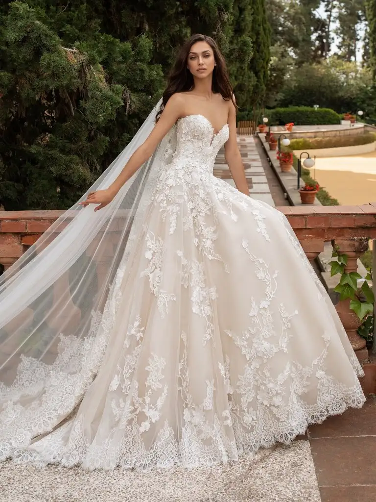 wedd0 (3).webp