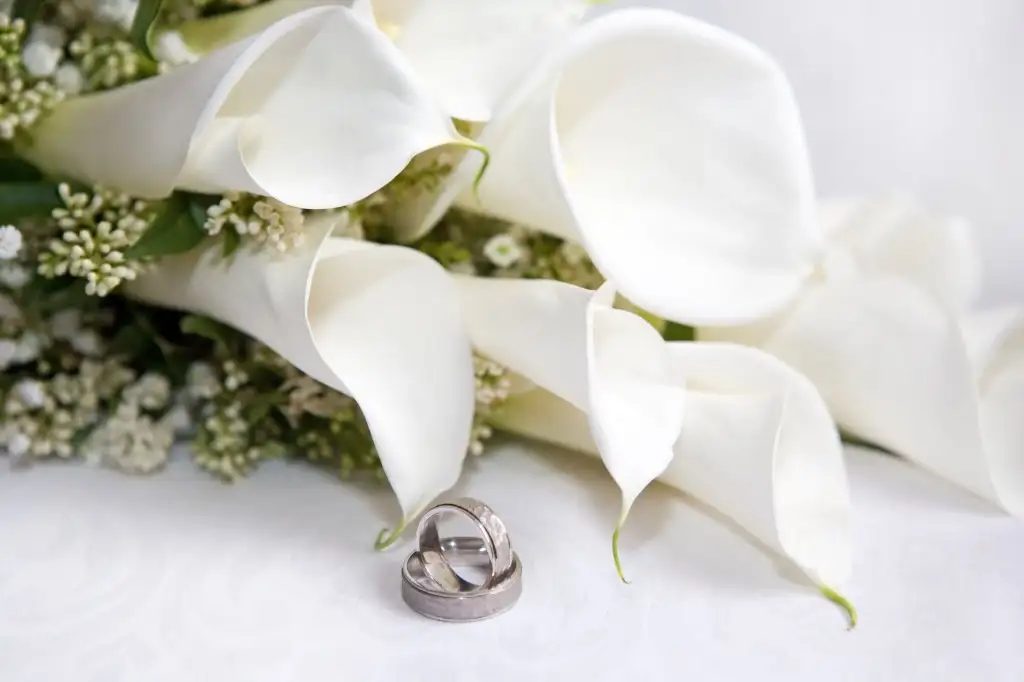 Wedding11.webp