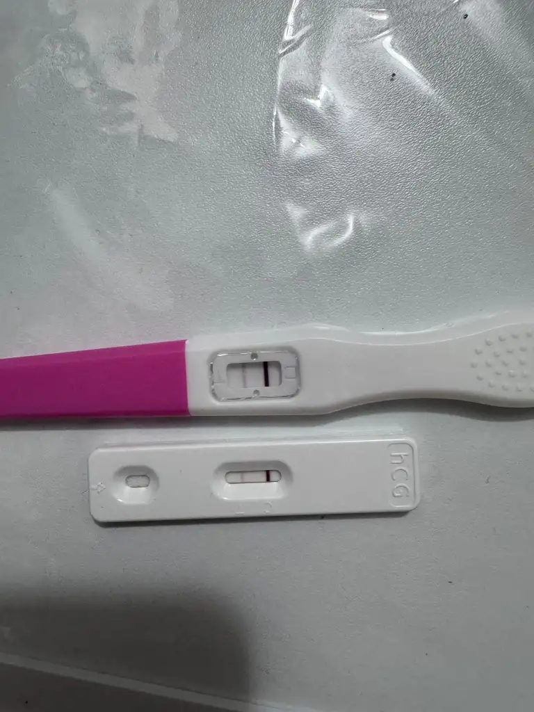 WhatsApp Görsel 2025-11-24 saat 15.48.36_81ad3fe5.webp