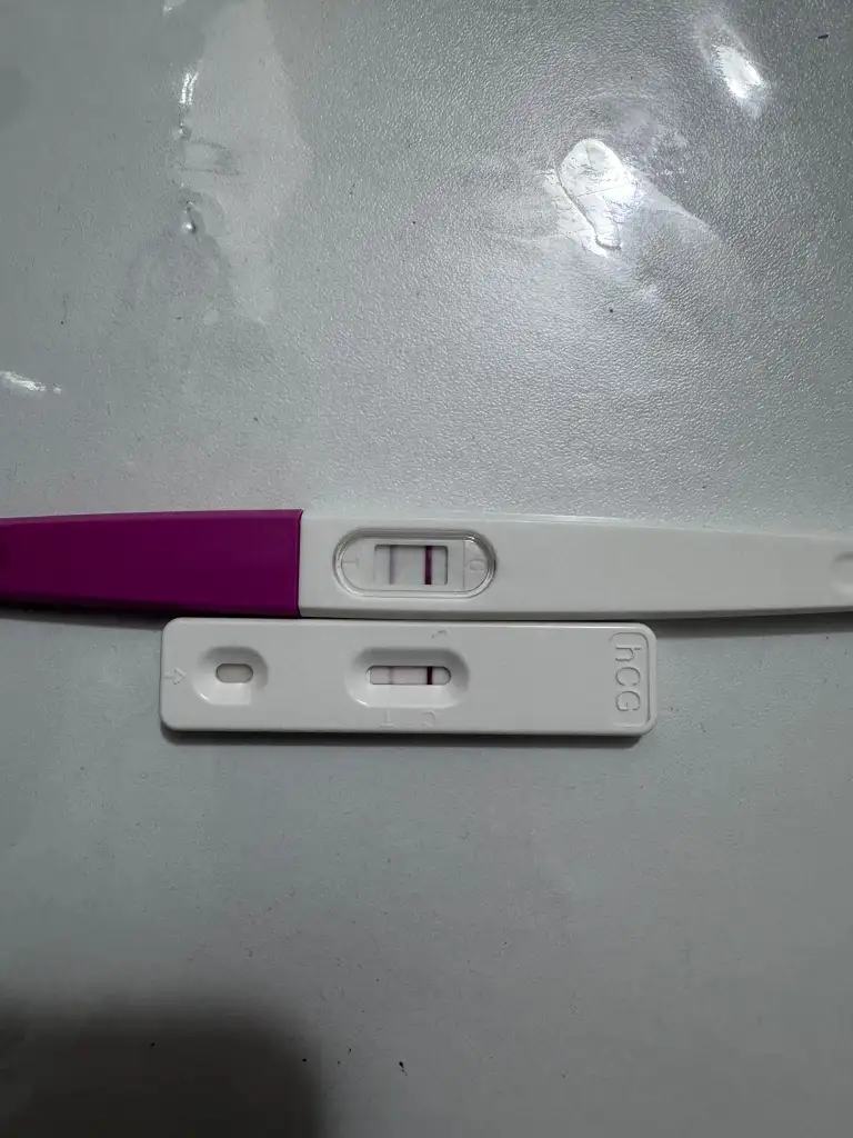 WhatsApp Görsel 2025-11-25 saat 16.45.20_6d34b6e5.webp