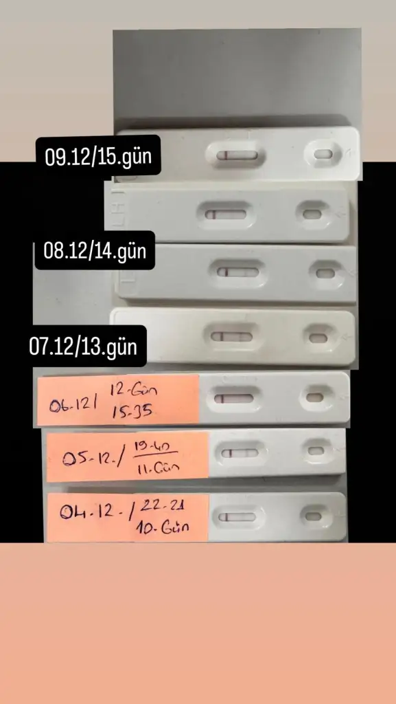 WhatsApp Görsel 2025-12-15 saat 14.25.45_1fbe4641.webp