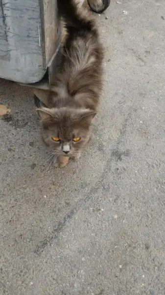 WhatsApp Image 2016-08-30 at 16.11.41 (1).webp