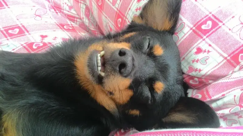 WhatsApp Image 2017-03-10 at 16.50.12.webp