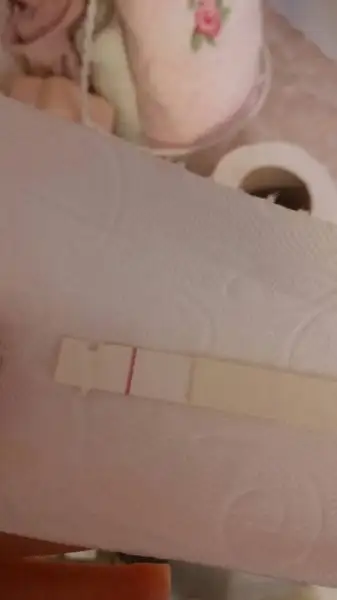 WhatsApp Image 2017-03-12 at 12.55.13.webp