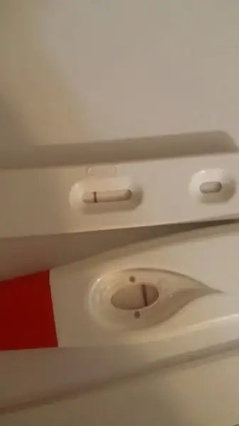 WhatsApp Image 2017-03-14 at 09.53.48.webp