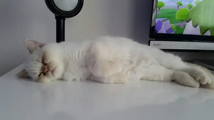 WhatsApp Image 2018-03-17 at 17.31.51 (1).webp