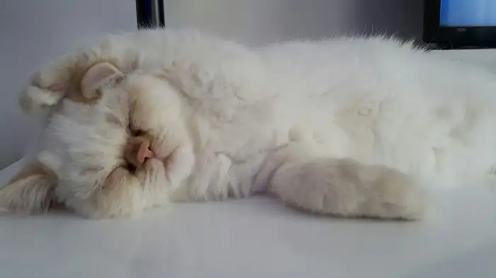 WhatsApp Image 2018-03-17 at 17.31.51.webp