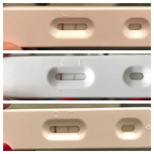 WhatsApp Image 2018-08-07 at 08.37.47.webp