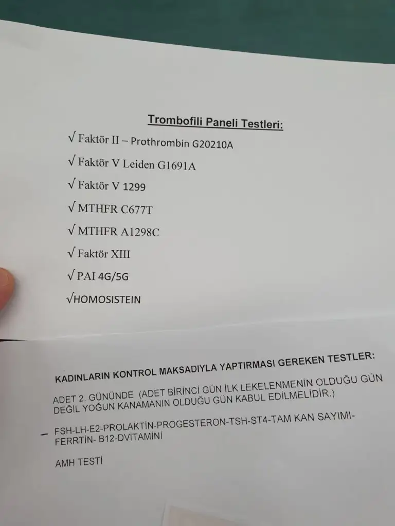 WhatsApp Image 2020-03-12 at 12.01.04.webp