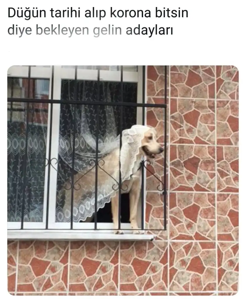 WhatsApp Image 2020-04-26 at 14.32.00.webp