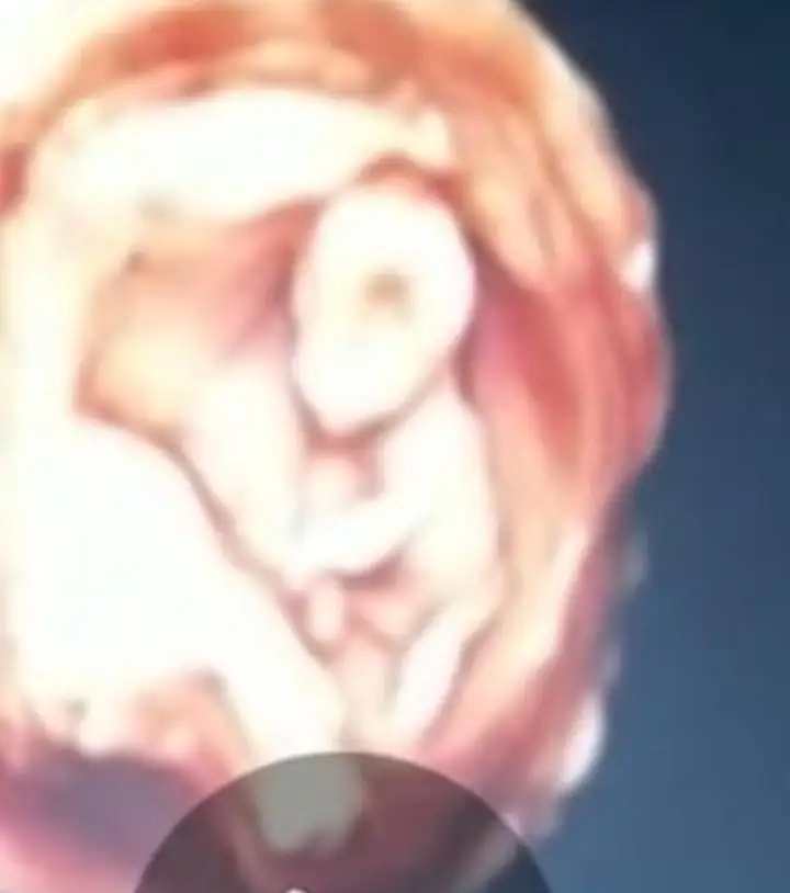 WhatsApp Image 2021-01-12 at 20.43.36.webp