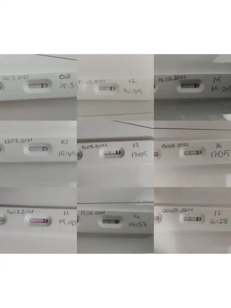 WhatsApp Image 2021-03-20 at 21.32.36.webp