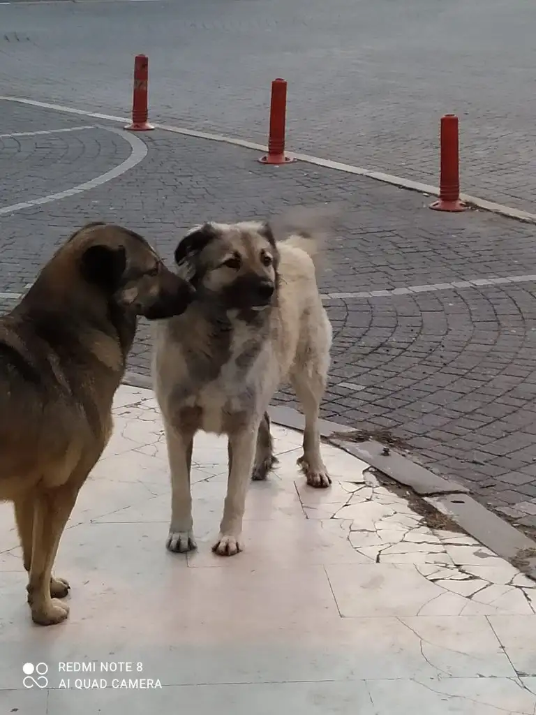 WhatsApp Image 2022-10-05 at 09.05.14.webp