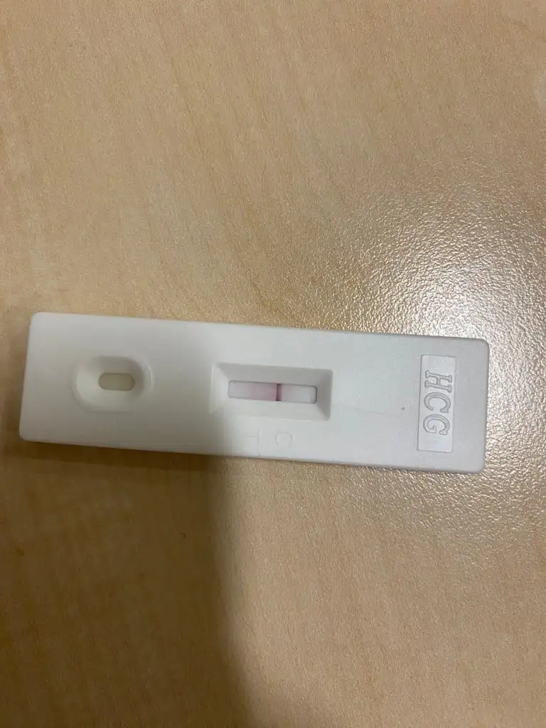 WhatsApp Image 2023-02-07 at 09.56.39.webp