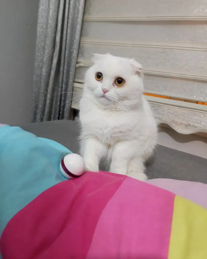 WhatsApp Image 2023-05-08 at 14.40.12.webp