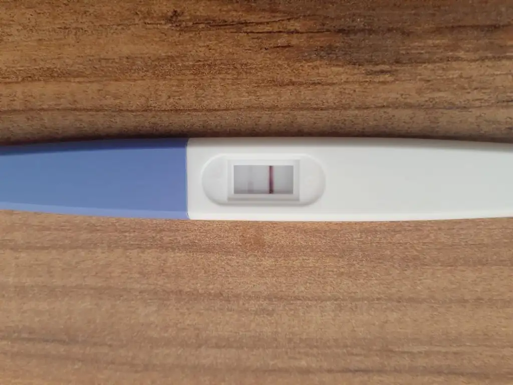 WhatsApp Image 2023-10-13 at 12.02.10.webp